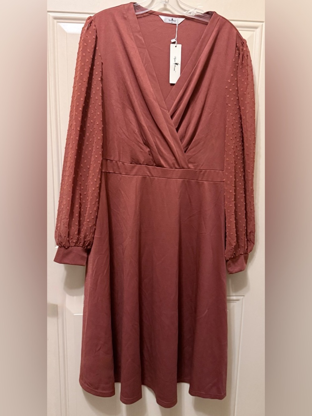 Agnes Orinda Wrap Top Dress with Sheer Swiss Dot Sleeves Cinnamon Color Size 1X